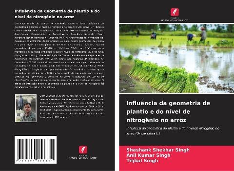 Influência da geometria de plantio e do nível de nitrogênio no arroz