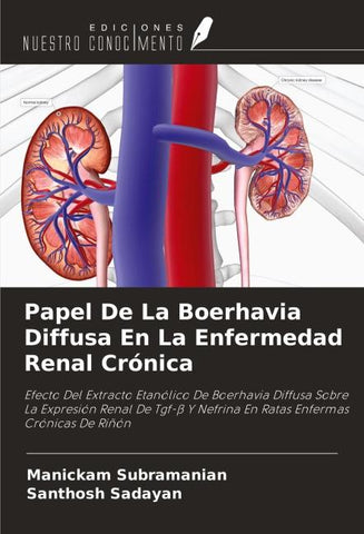 Papel De La Boerhavia Diffusa En La Enfermedad Renal Crónica