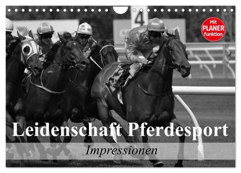 Leidenschaft Pferdesport - Impressionen (Wandkalender 2026 DIN A4 quer), CALVENDO Monatskalender