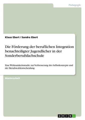Die Förderung der beruflichen Integration benachteiligter Jugendlicher in der Sonderberufsfachschule