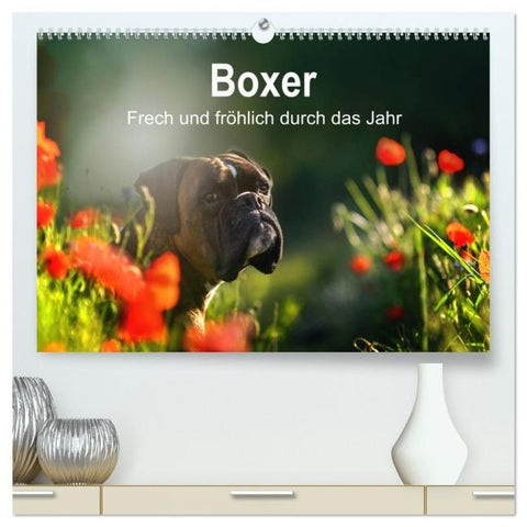Boxer Frech und fröhlich durch das Jahr (hochwertiger Premium Wandkalender 2026 DIN A2 quer), Kunstdruck in Hochglanz