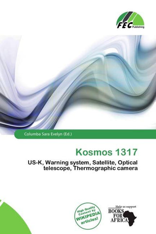 Kosmos 1317