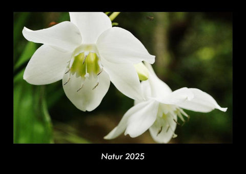Natur 2025 Fotokalender DIN A3