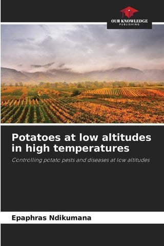 Potatoes at low altitudes in high temperatures