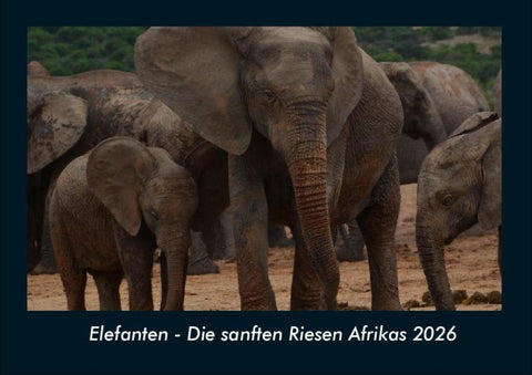 Elefanten - Die sanften Riesen Afrikas 2026 Fotokalender DIN A4