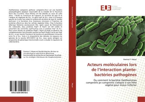 Acteurs moléculaires lors de l'interaction plante-bactéries pathogènes
