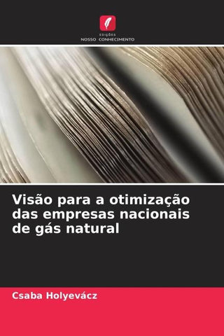 Visão para a otimização das empresas nacionais de gás natural