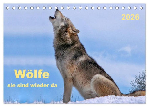 Wölfe - sie sind wieder da (Tischkalender 2026 DIN A5 quer), CALVENDO Monatskalender