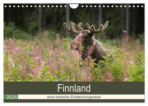 Finnland: eine tierische Entdeckungsreise (Wandkalender 2026 DIN A4 quer), CALVENDO Monatskalender