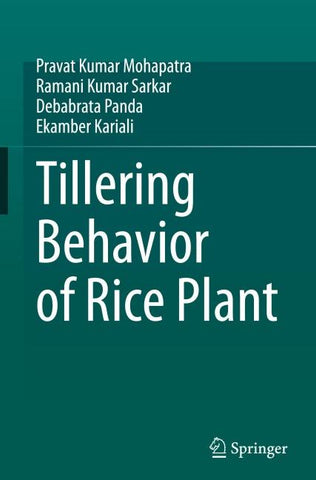 Tillering Behavior of Rice Plant