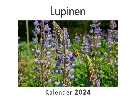 Lupinen (Wandkalender 2024, Kalender DIN A4 quer, Monatskalender im Querformat mit Kalendarium, Das perfekte Geschenk)