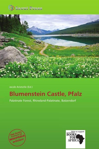 Blumenstein Castle, Pfalz