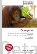 Orangutan