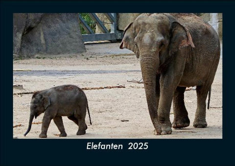 Elefanten  2025 Fotokalender DIN A5