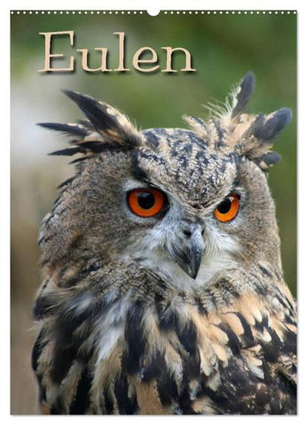 Eulen (Wandkalender 2026 DIN A2 hoch), CALVENDO Monatskalender