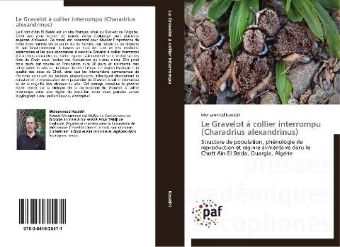 Le Gravelot à collier interrompu (Charadrius alexandrinus)