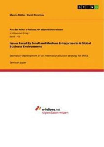 Issues Faced By Small and Medium Enterprises In A Global Business Environment