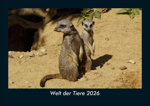 Welt der Tiere 2026 Fotokalender DIN A5
