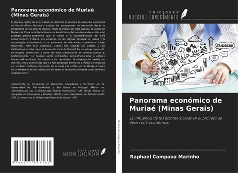 Panorama económico de Muriaé (Minas Gerais)