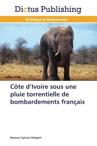 Côte d'Ivoire sous une pluie torrentielle de bombardements français