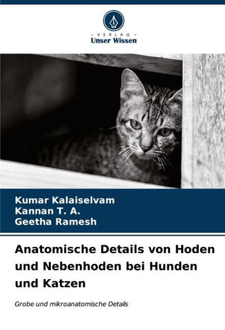 Anatomische Details von Hoden und Nebenhoden bei Hunden und Katzen