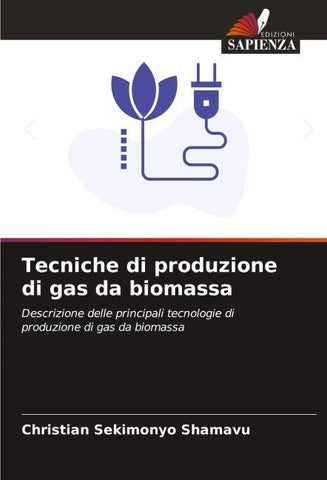 Tecniche di produzione di gas da biomassa