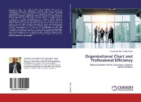 Organizational Chart and Professional Efficiency