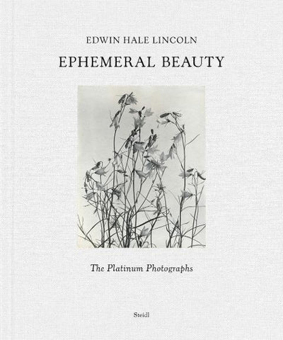 Ephemeral Beauty