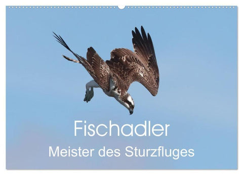Fischadler - Meister des Sturzfluges (Wandkalender 2026 DIN A2 quer), CALVENDO Monatskalender