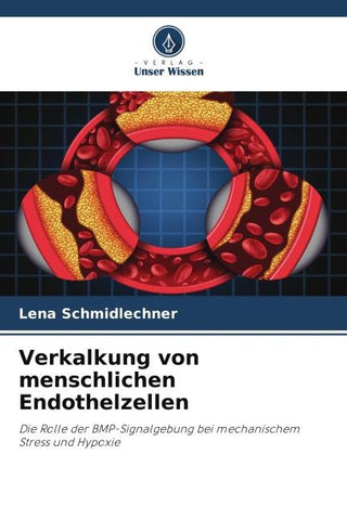 Verkalkung von menschlichen Endothelzellen