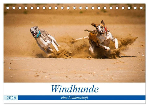 Windhunde - eine Leidenschaft (Tischkalender 2026 DIN A5 quer), CALVENDO Monatskalender