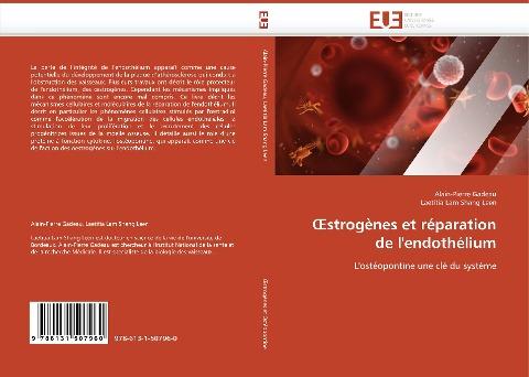 ¿strogènes et réparation de l''endothélium