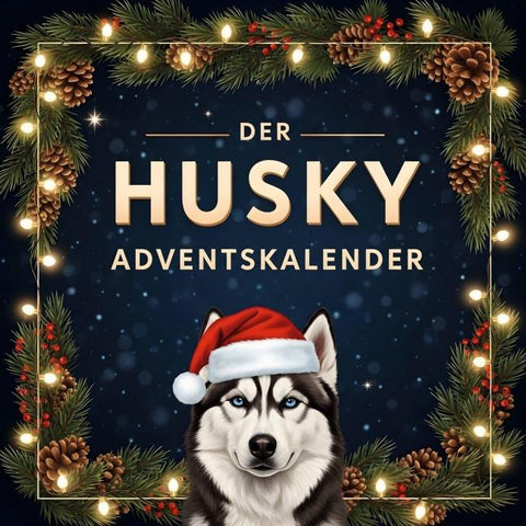 Der Husky-Adventskalender