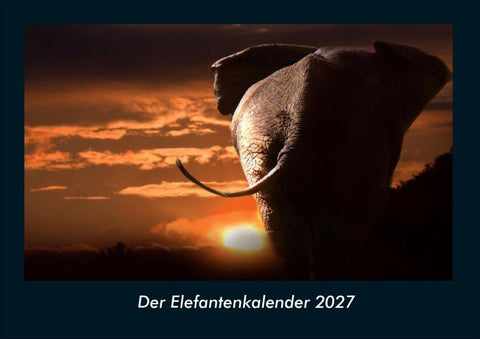 Der Elefantenkalender 2027 Fotokalender DIN A4