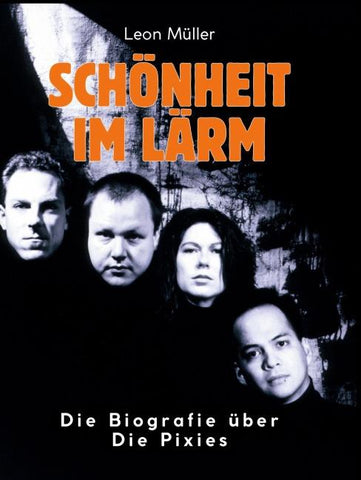 Schönheit im Lärm