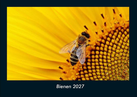 Bienen 2027 Fotokalender DIN A4