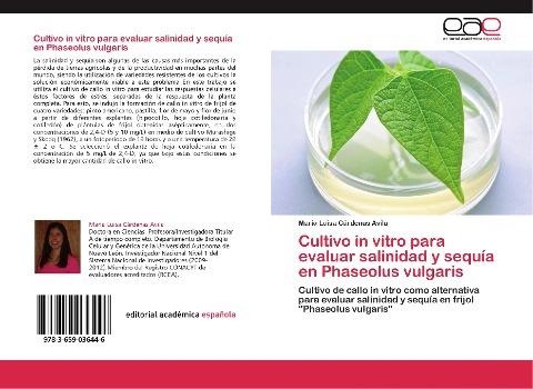 Cultivo in vitro para evaluar salinidad y sequía en Phaseolus vulgaris
