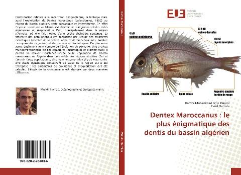 Dentex Maroccanus : le plus énigmatique des dentis du bassin algérien