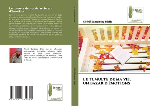 Le tumulte de ma vie, un bazar d'émotions
