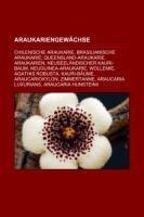 Araukariengewächse