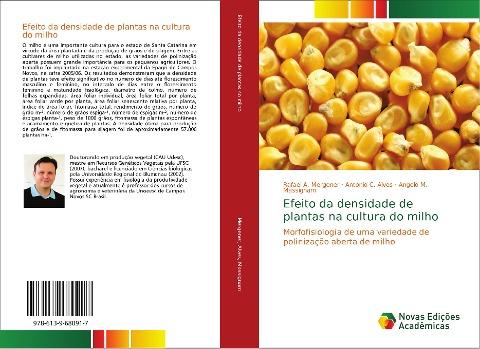 Efeito da densidade de plantas na cultura do milho