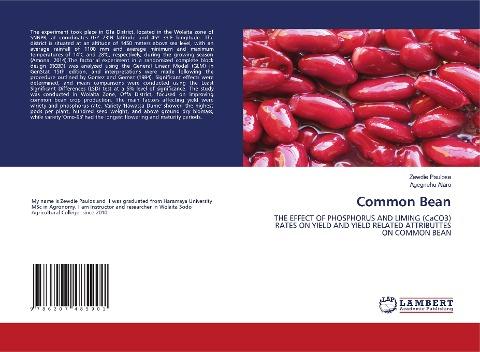 Common Bean