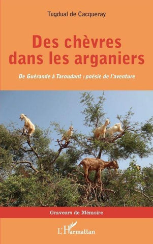 Des chèvres dans les arganiers
