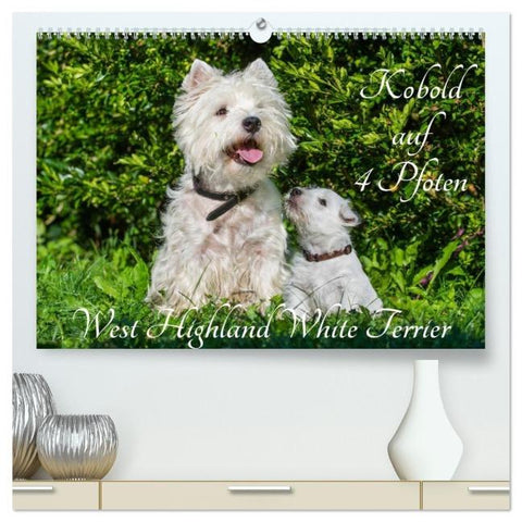 Kobold auf 4 Pfoten - West Highland White Terrier (hochwertiger Premium Wandkalender 2026 DIN A2 quer), Kunstdruck in Hochglanz