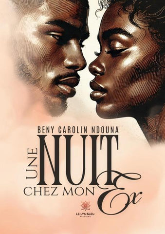 Une nuit chez mon ex
