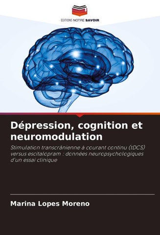 Dépression, cognition et neuromodulation