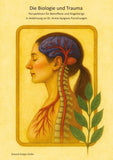 Die Biologie und Trauma