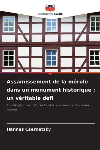 Assainissement de la mérule dans un monument historique : un véritable défi