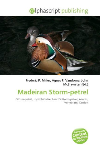Madeiran Storm-petrel