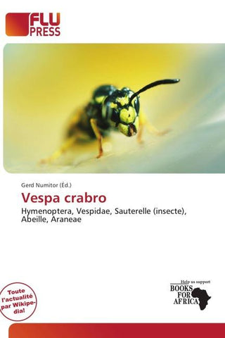 Vespa crabro